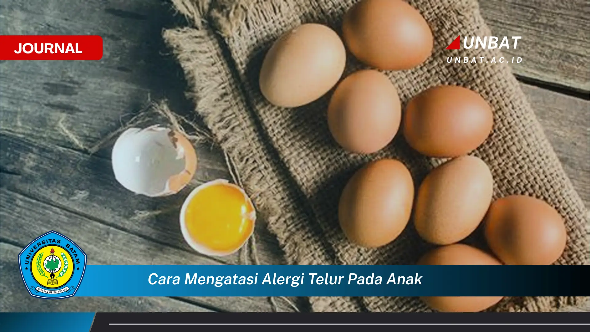 Ketahui Cara Mengatasi Alergi Telur Pada Anak, Panduan Lengkap untuk Orang Tua