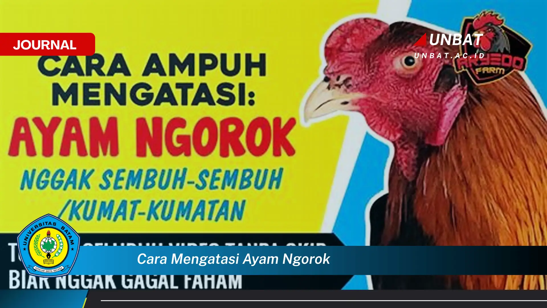 Ketahui Cara Mengatasi Ayam Ngorok Secara Efektif dan Alami