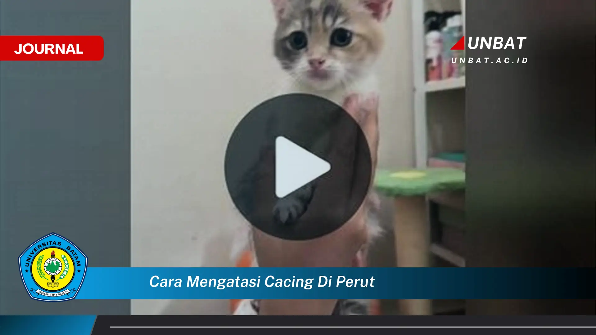 Ketahui Cara Mengatasi Cacing di Perut Secara Alami dan Efektif Ketahui Cara Mengatasi Cacing di Perut Secara Alami dan Efektif