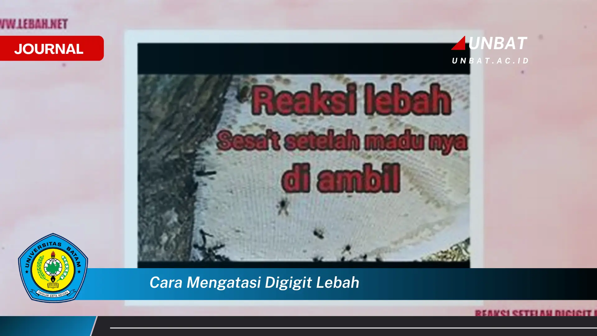 Ketahui Cara Mengatasi Digigit Lebah, Pertolongan Pertama dan Tips Cepat Redakan Nyeri Ketahui Cara Mengatasi Digigit Lebah, Pertolongan Pertama dan Tips Cepat Redakan Nyeri