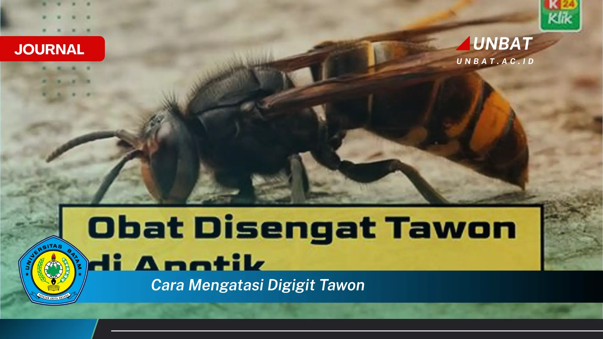 Inilah Cara Mengatasi Digigit Tawon Pertolongan Pertama dan Pencegahan Inilah Cara Mengatasi Digigit Tawon Pertolongan Pertama dan Pencegahan