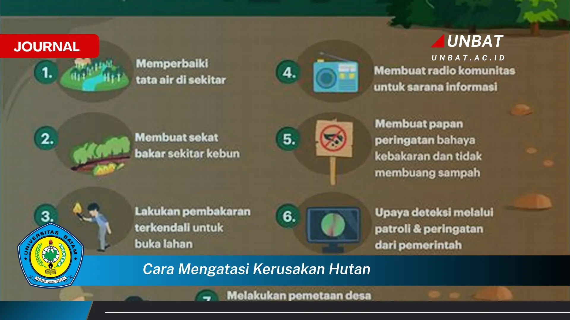 Langkah demi langkah, Cara Mengatasi Kerusakan Hutan Secara Efektif dan Berkelanjutan