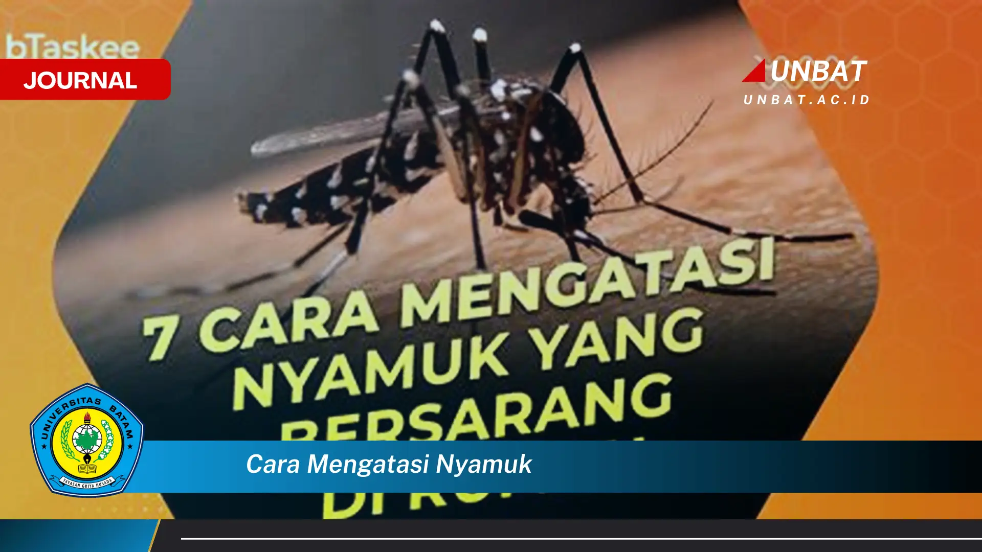 Ketahui Cara Mengatasi Nyamuk di Rumah Secara Alami dan Efektif