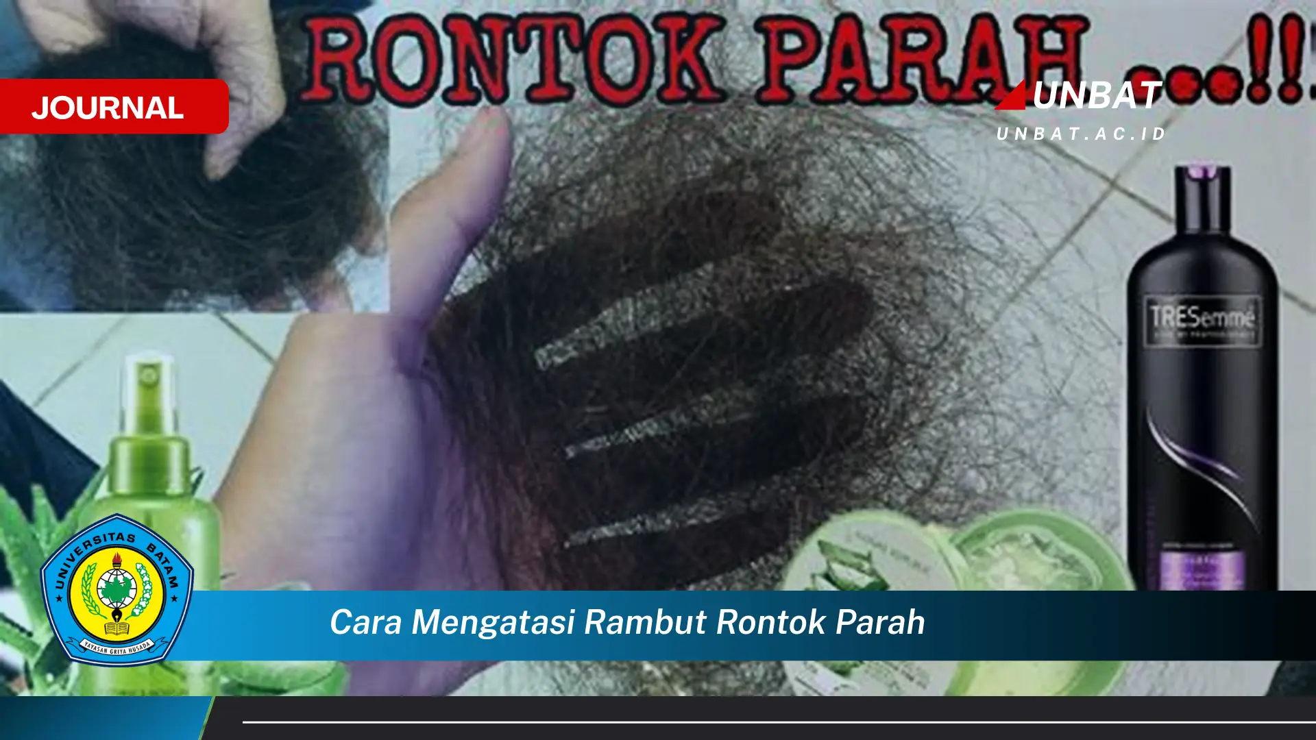 Ketahui Cara Mengatasi Rambut Rontok Parah Secara Alami dan Efektif