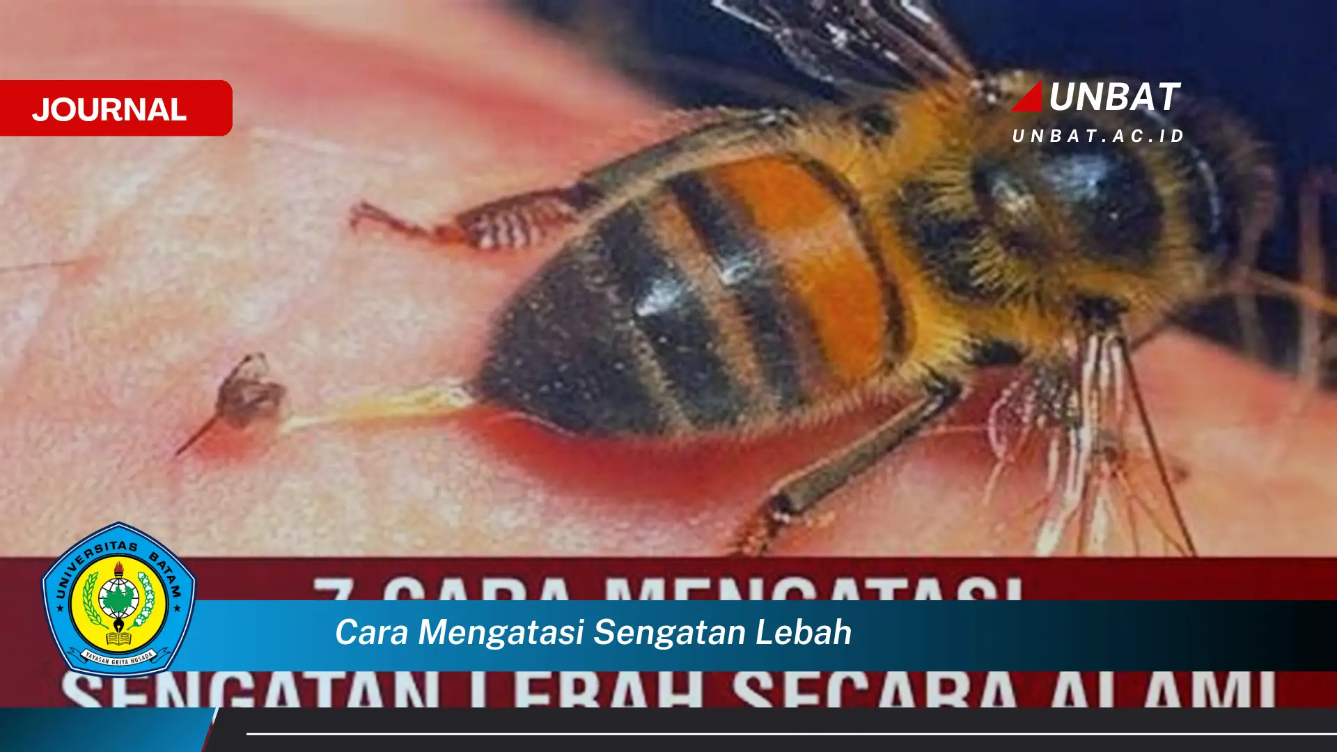 Ketahui Cara Mengatasi Sengatan Lebah dengan Cepat dan Efektif