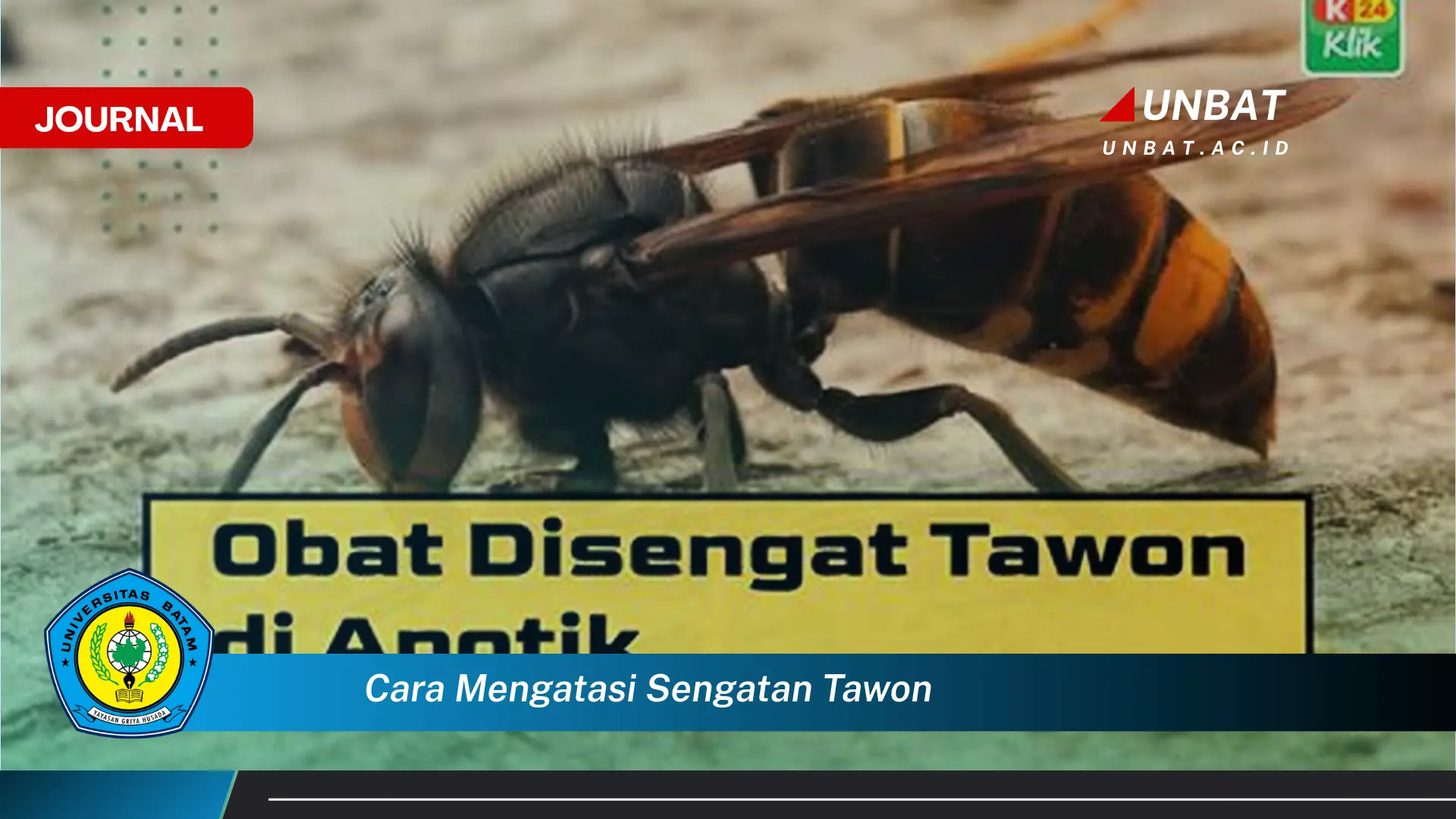 Ketahui Cara Mengatasi Sengatan Tawon, Pertolongan Pertama dan Obat Alami Ketahui Cara Mengatasi Sengatan Tawon, Pertolongan Pertama dan Obat Alami