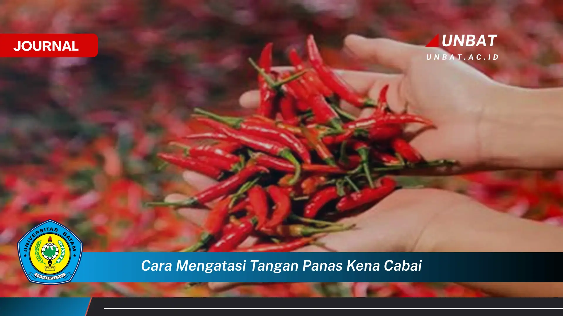 Ketahui Cara Mengatasi Tangan Panas Kena Cabai dengan Cepat dan Alami