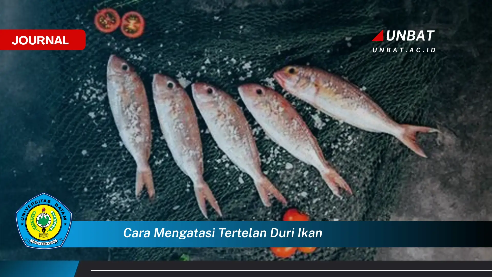 Ketahui Cara Mengatasi Tertelan Duri Ikan yang Ampuh dan Aman