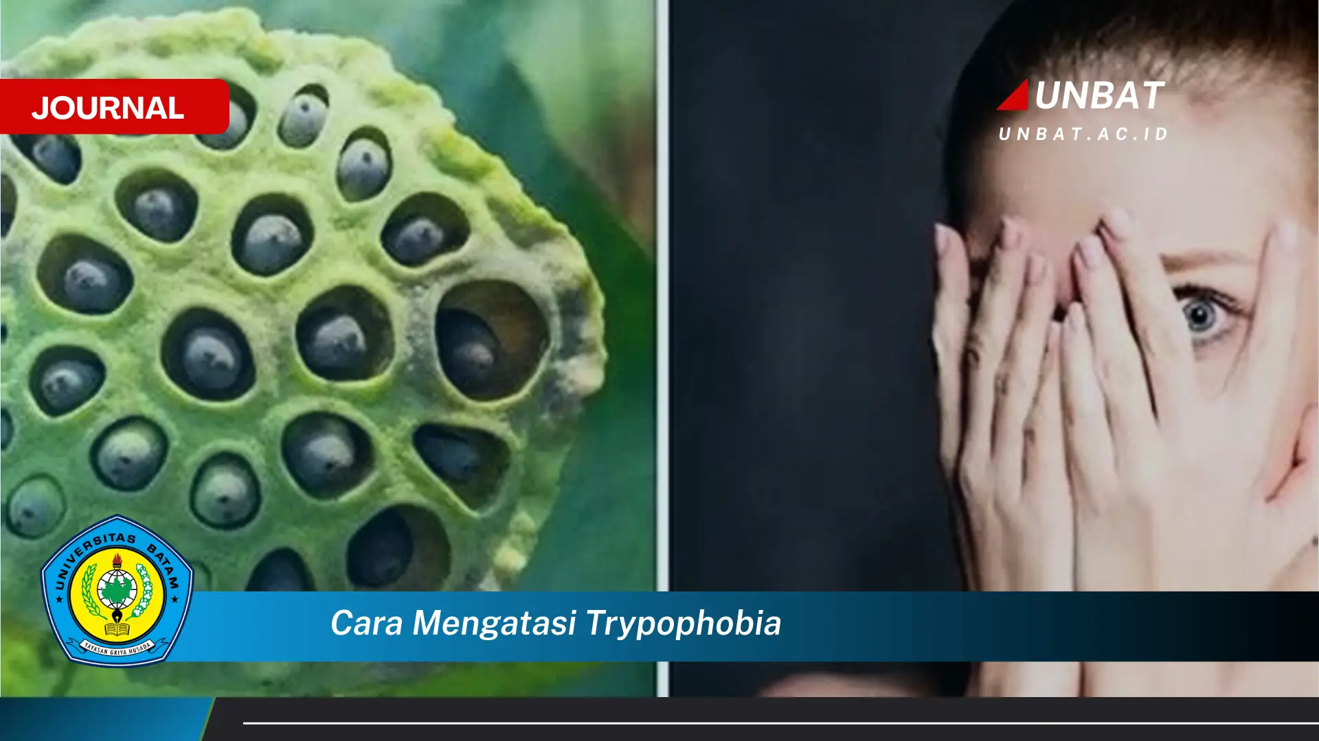 Ketahui Cara Mengatasi Trypophobia, Panduan Lengkap dan Efektif untuk Mengurangi Kecemasan Ketahui Cara Mengatasi Trypophobia, Panduan Lengkap dan Efektif untuk Mengurangi Kecemasan