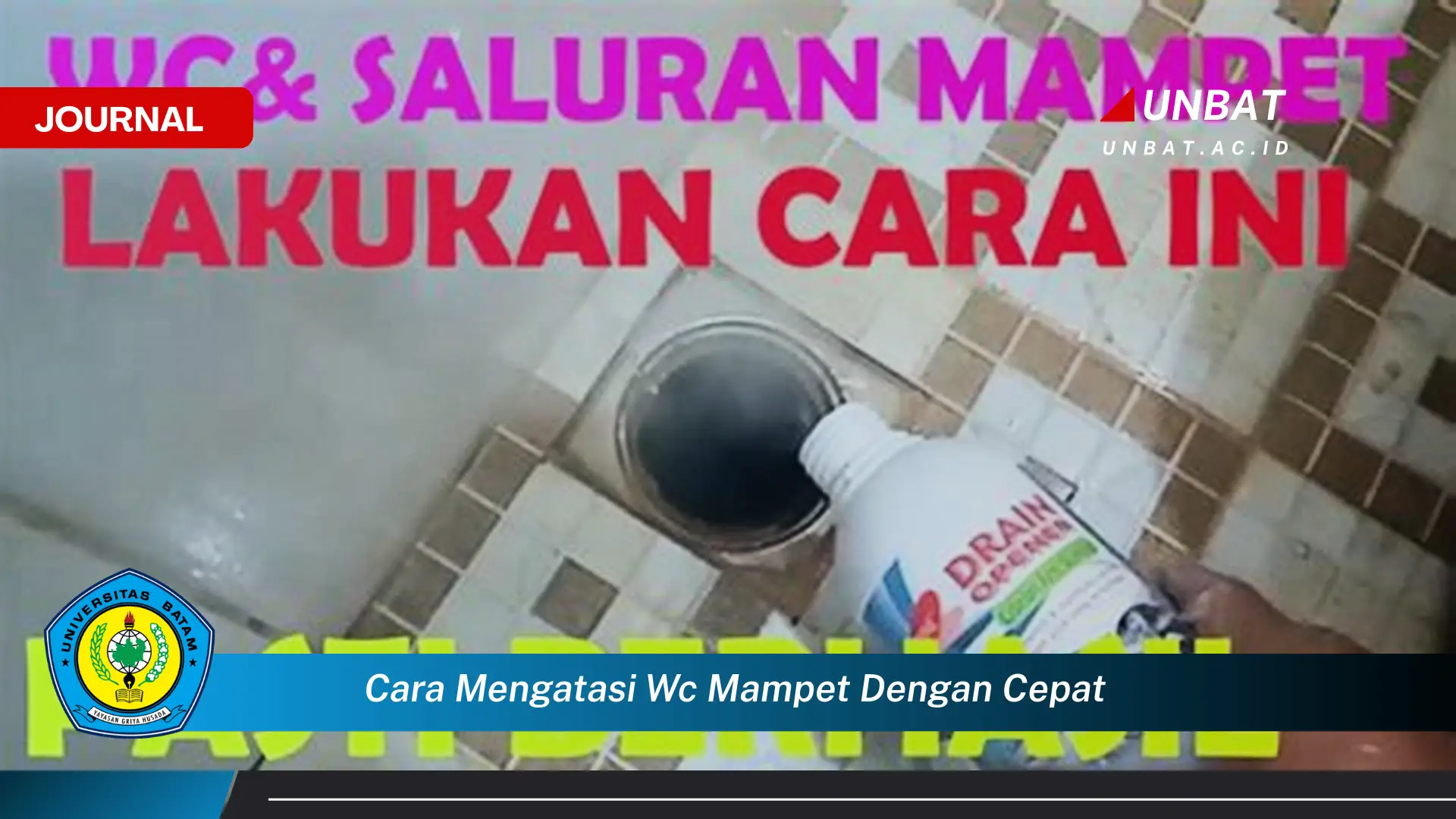 Ketahui Cara Mengatasi WC Mampet dengan Cepat dan Mudah